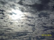 100_9574.JPG