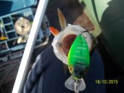 100_9583.JPG