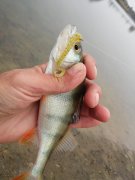 20151022_093249.jpg