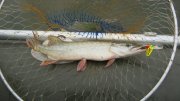IMG_2852.jpg