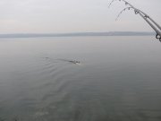 P1090873.JPG