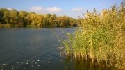 WP_20151028_003.jpg