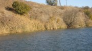 IMG_2864.jpg