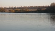 IMG_2875.jpg