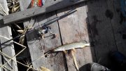 20151101115426.jpg