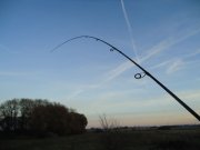 DSC00424.jpg
