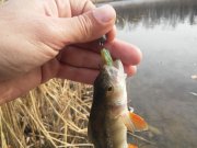 20151102_115453.jpg