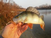 20151103_152157.jpg