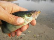 20151103_143207.jpg