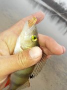 20151103_141615.jpg