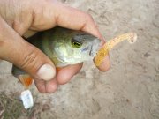 20151103_140326.jpg