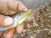 20151103_100007.jpg