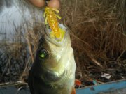20151103_085204.jpg