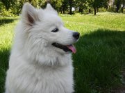 20150514_121124.jpg