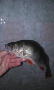 20151104_160411.jpg
