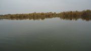 DSC02921_500x281.jpg