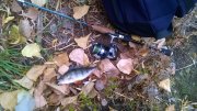WP_20151104_004.jpg