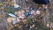 WP_20151104_001.jpg