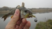 IMG_2879.jpg