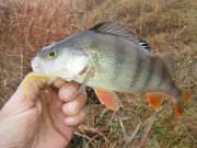 20151119_102816.jpg
