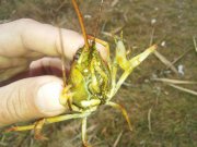 20151119_112216.jpg