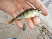 20151119_120823.jpg