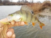 20151119_083638.jpg
