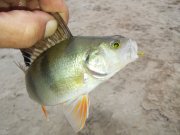 20151119_083940.jpg