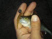 20151119_080409.jpg