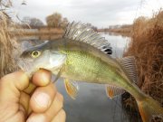 20151120_082235.jpg