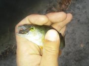 20151120_084720.jpg