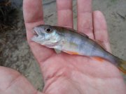 20151122_085836.jpg