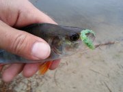 20151122_090431.jpg