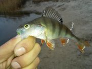 20151122_092617.jpg