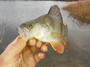 20151122_104035.jpg
