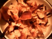 IMG0343A.jpg