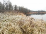 DSC_0291.JPG