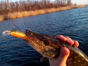 IMG_20151208_075228[1].jpg
