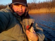 IMG_20151208_075203[1].jpg