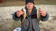20151206_132922.jpg