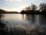 DSC_0355.JPG