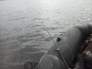 CAM00028.jpg