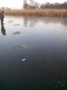 IMG_20151218_084757.jpg