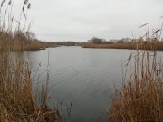 DSC_0422.JPG