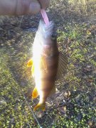 IMG_20151221_090403.jpg