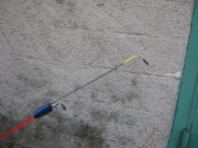IMG_8631.JPG