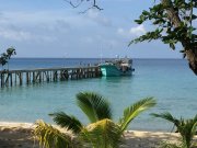 IMG_3221.JPG