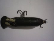IMG0355A.jpg
