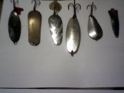 IMG0358A.jpg