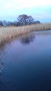20151227_155705[1].jpg